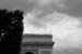 10 arbre arc de triomphe04 copy