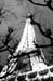 Tour Eiffel02 copy