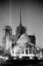 notre dame04 copy