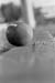 Ball01 copy