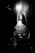 ruelle